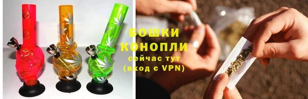 прущая мука Вяземский