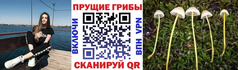 Галлюциногенные грибы мухоморы  наркошоп  сайты даркнета телеграм  Видное 