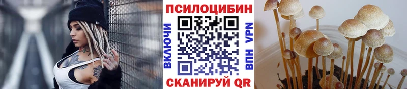 Псилоцибиновые грибы Psilocybine cubensis Видное